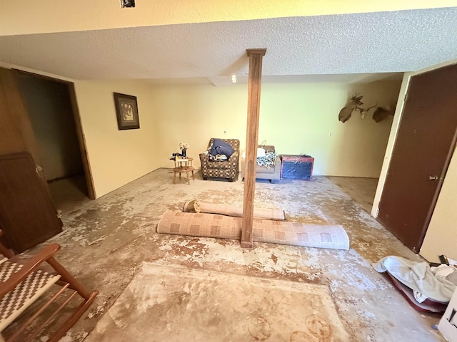 147 Winfree Ln, Melbourne, AR 72556 - finished basement with a textured ceiling