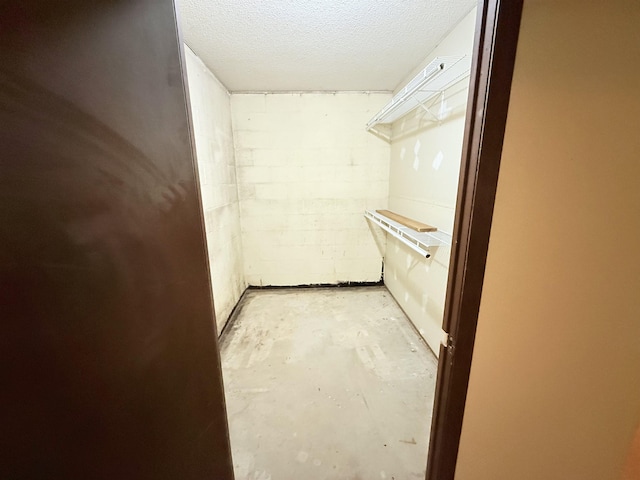 147 Winfree Ln, Melbourne, AR 72556 - view of spacious closet