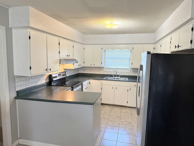 147 Winfree Ln, Melbourne, AR 72556 - kitchen with stainless steel appliances, a sink, under cabinet range hood, decorative backsplash, and a peninsula