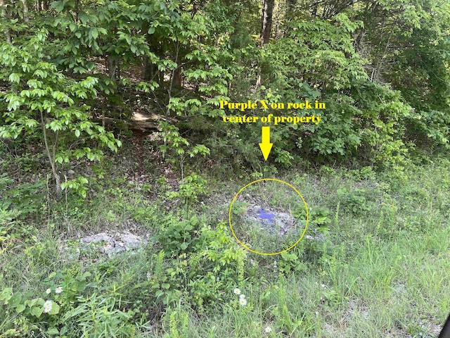 0001-06140-001 Mc 8060, Yellville, AR 72687