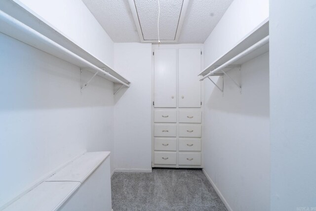265 Zebulin Dr, Heber Springs, AR 72543 - walk in closet with attic access and light carpet