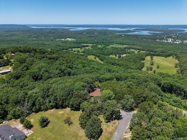 265 Zebulin Dr, Heber Springs, AR 72543 - drone / aerial view of a forest