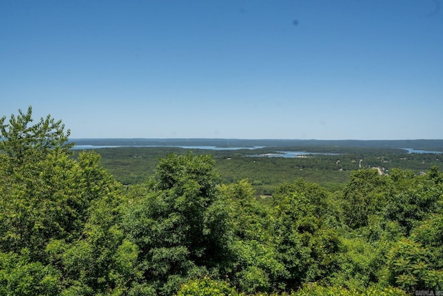 265 Zebulin Dr, Heber Springs, AR 72543 - water view