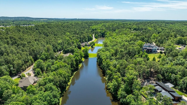 31 Cravache Ct, Little Rock, AR 72223 - bird's eye view of a forest and a nearby body of water