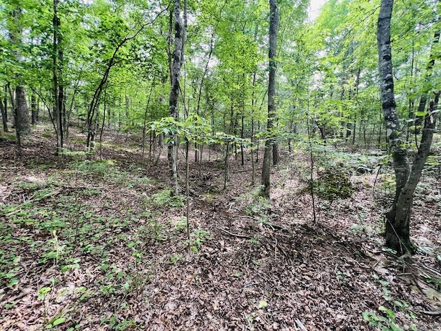 26 Bald Eagle Dr, Paron, AR 72122