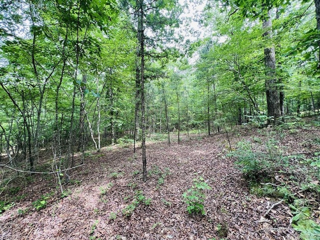 26 Bald Eagle Dr, Paron, AR 72122