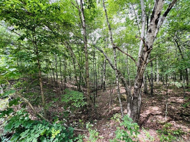26 Bald Eagle Dr, Paron, AR 72122