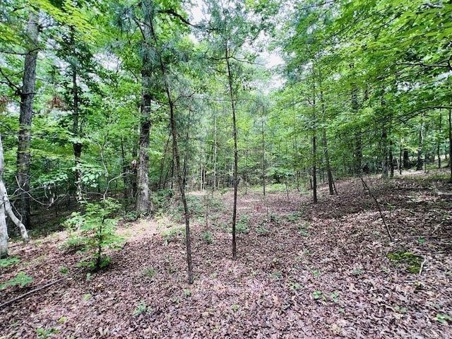26 Bald Eagle Dr, Paron, AR 72122