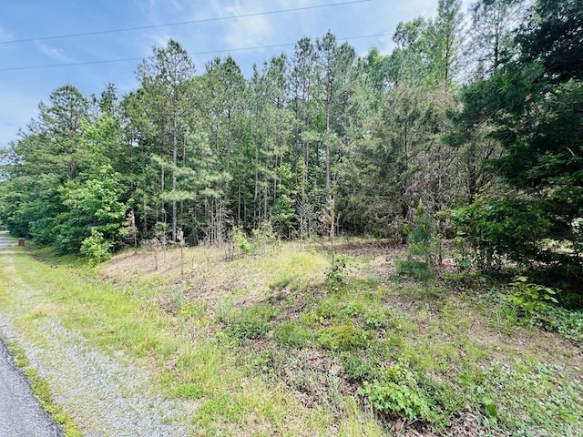 26 Bald Eagle Dr, Paron, AR 72122