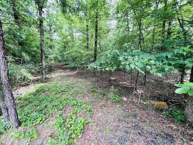 26 Bald Eagle Dr, Paron, AR 72122