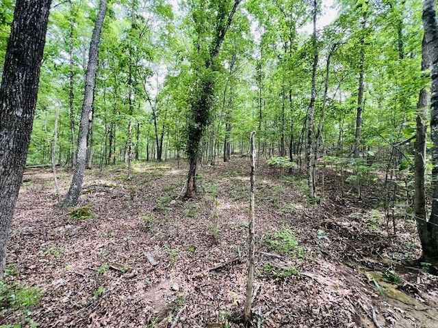 26 Bald Eagle Dr, Paron, AR 72122