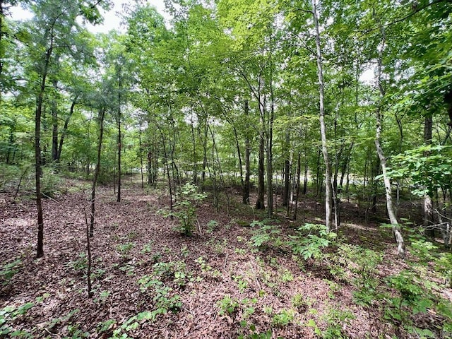 26 Bald Eagle Dr, Paron, AR 72122