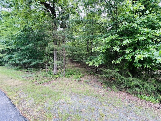 26 Bald Eagle Dr, Paron, AR 72122