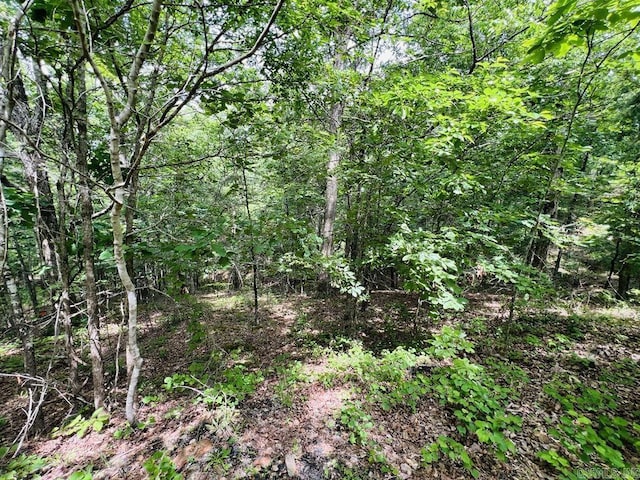 26 Bald Eagle Dr, Paron, AR 72122