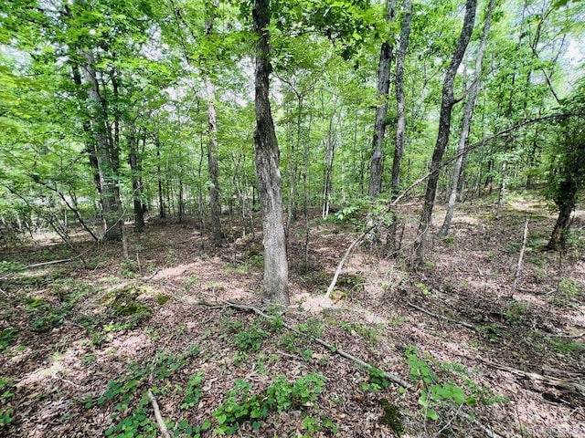 26 Bald Eagle Dr, Paron, AR 72122