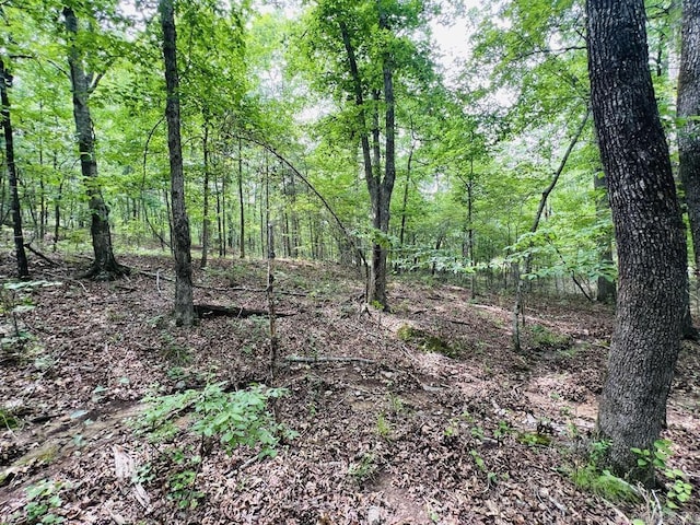 26 Bald Eagle Dr, Paron, AR 72122