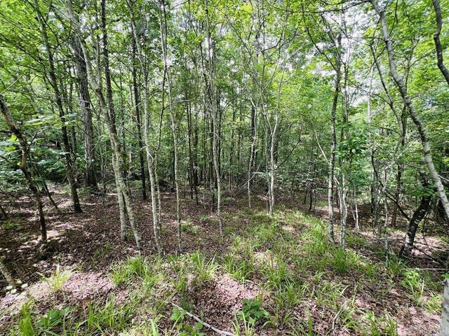 26 Bald Eagle Dr, Paron, AR 72122