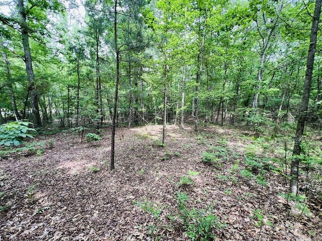 26 Bald Eagle Dr, Paron, AR 72122