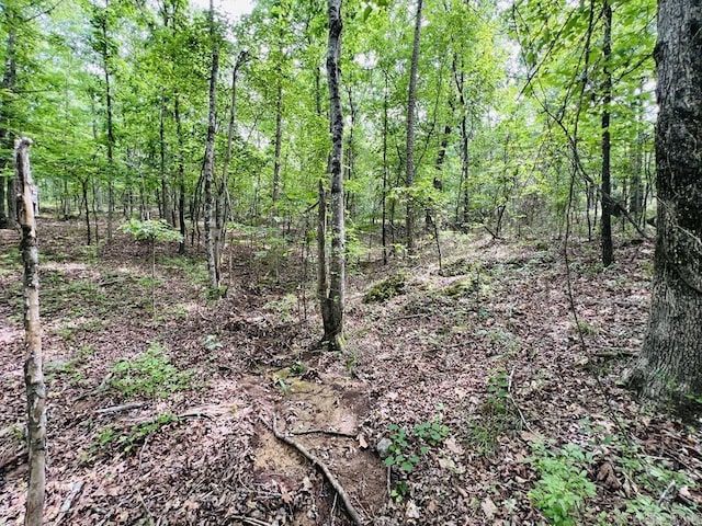 26 Bald Eagle Dr, Paron, AR 72122