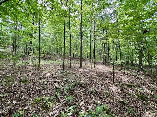 26 Bald Eagle Dr, Paron, AR 72122