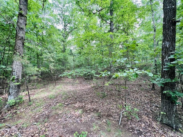 26 Bald Eagle Dr, Paron, AR 72122