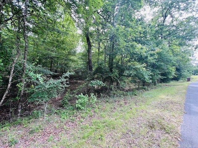 26 Bald Eagle Dr, Paron, AR 72122