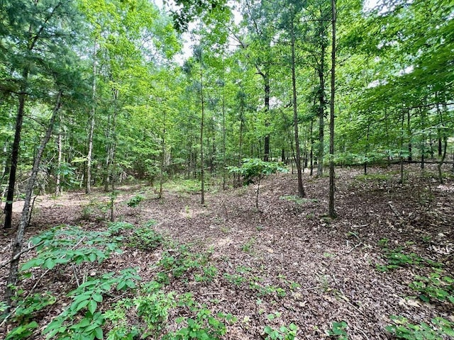 26 Bald Eagle Dr, Paron, AR 72122
