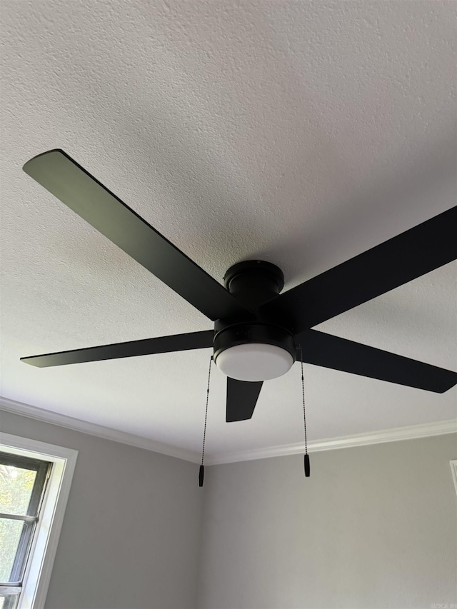 detailed view of ceiling fan, ornamental molding, and a textured ceiling