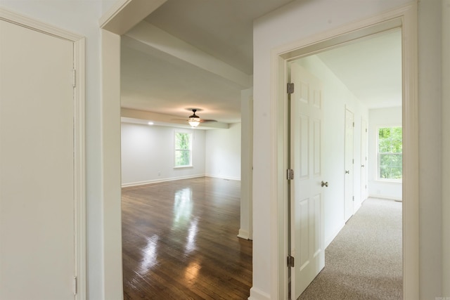 919 River Rdg, Benton, AR 72019 - hall featuring wood finished floors and baseboards