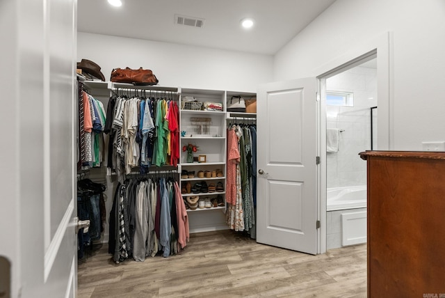 170 Irene Cir, Greenbrier, AR 72058 - walk in closet with light wood-type flooring
