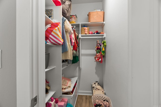 170 Irene Cir, Greenbrier, AR 72058 - view of closet