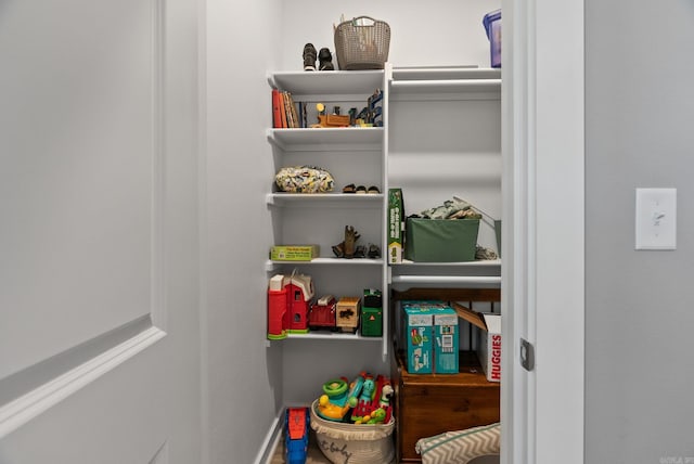 170 Irene Cir, Greenbrier, AR 72058 - view of closet