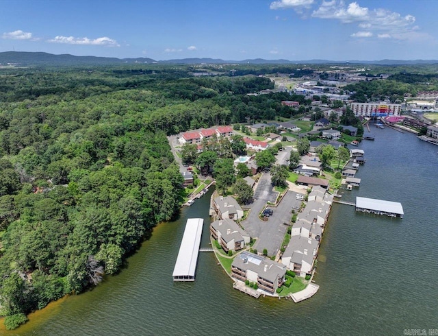 view of property location featuring a forest and a large body of water