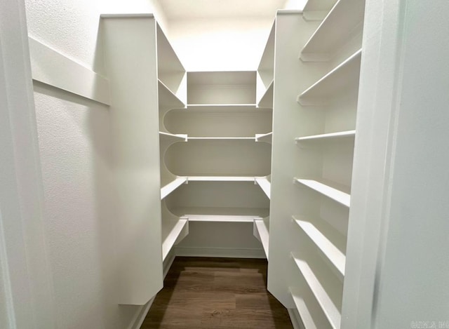 81 Lewis Loop, Greenbrier, AR 72058 - spacious closet featuring wood finished floors