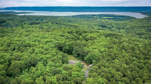 100 Hidgen Rdg, Higden, AR 72067 - drone / aerial view of a heavily wooded area and a large body of water