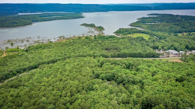100 Hidgen Rdg, Higden, AR 72067 - bird's eye view of a large body of water and a forest