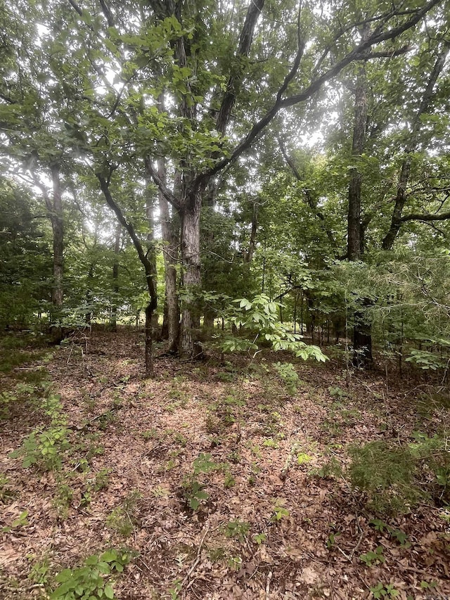 83ACRES Greene 402 Rd, Lafe, AR 72443