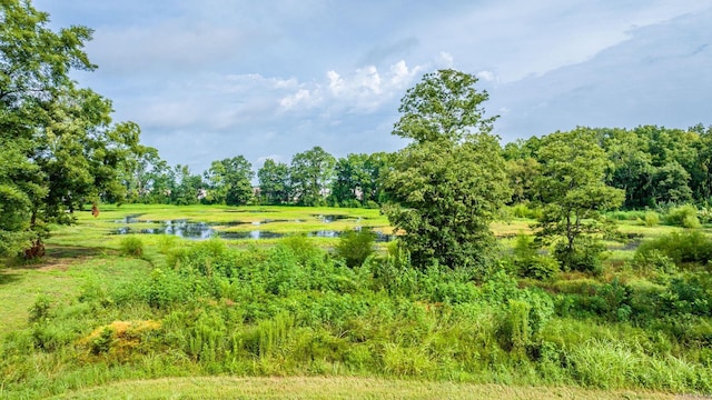 13319 Smarty Jones Dr, Scott, AR 72142