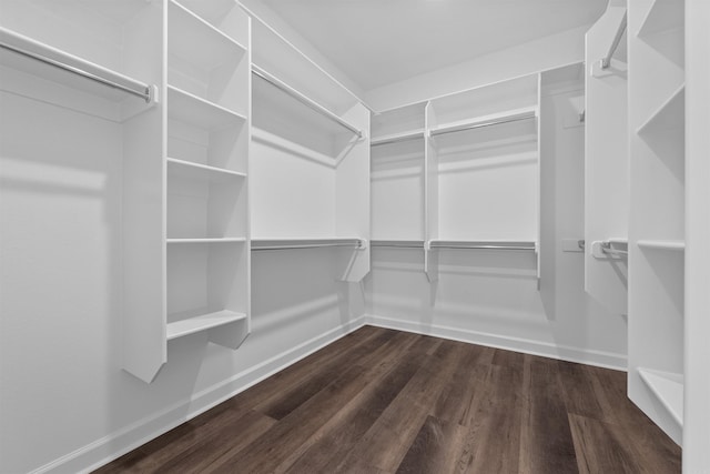 10114 Hidden Cir, Sherwood, AR 72120 - walk in closet featuring dark wood-style flooring