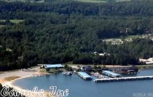 21 Constantina Cir, Hot Springs Village, AR 71909 - water view featuring a heavily wooded area