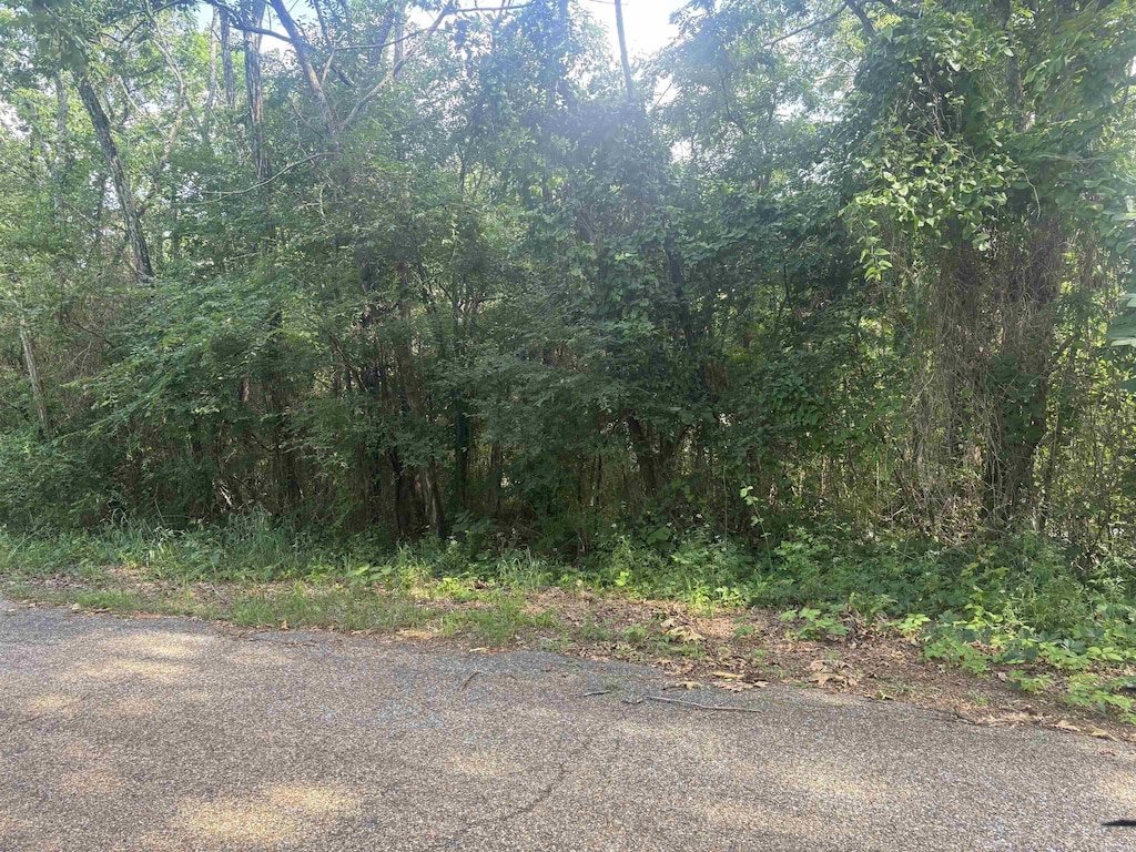 Disney St, Hot Springs, AR 71913