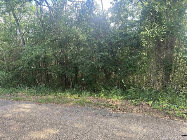 Disney St, Hot Springs, AR 71913