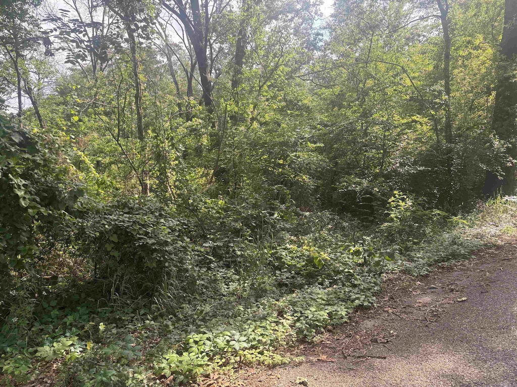 Disney St, Hot Springs, AR 71913