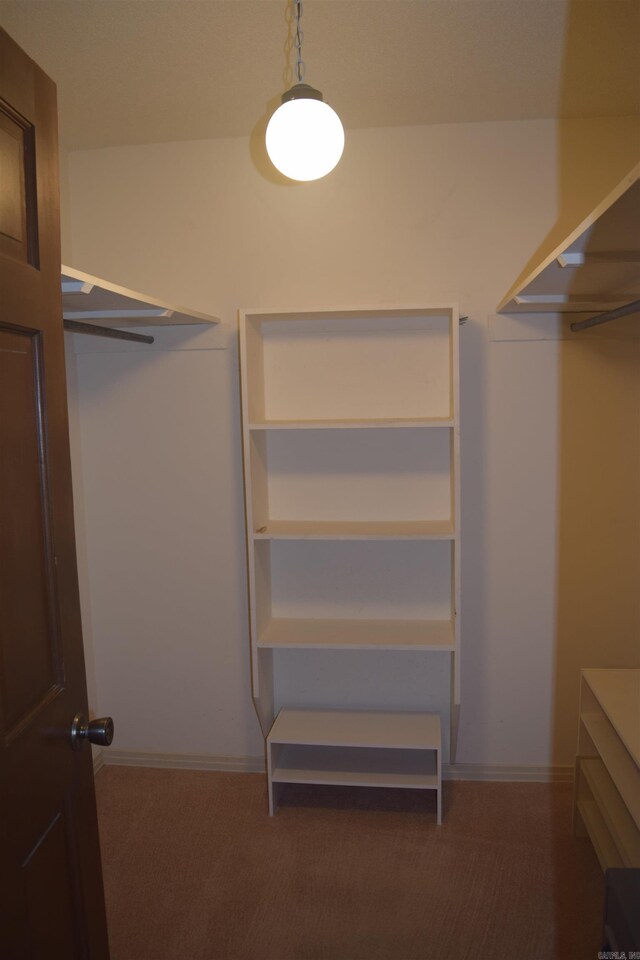 206 Beaconsfield Rd, Sherwood, AR 72120 - walk in closet with carpet flooring