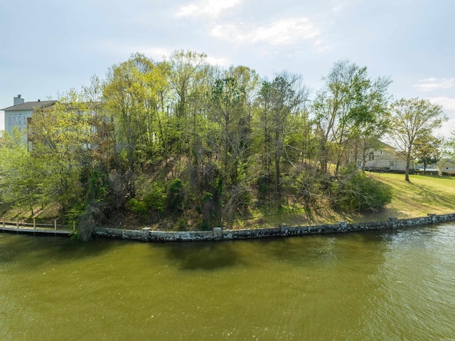 000 Osprey Pt, Hot Springs, AR 71913
