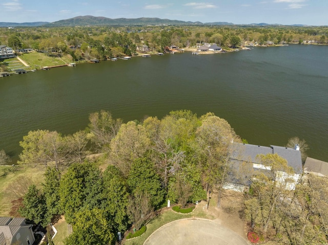 000 Osprey Pt, Hot Springs, AR 71913