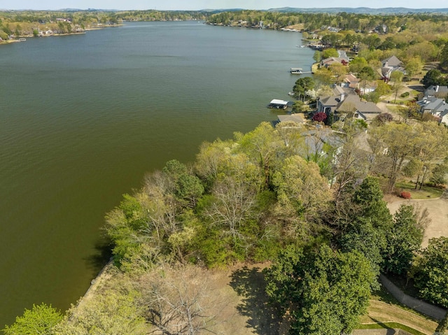 000 Osprey Pt, Hot Springs, AR 71913