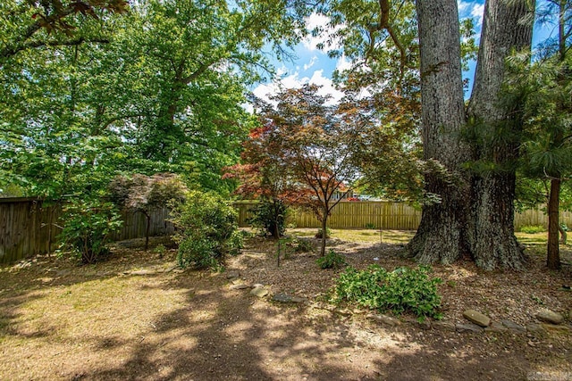 36 Brentwood Cv, Cabot, AR 72023 - view of fenced backyard