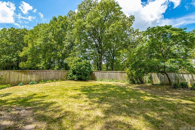 36 Brentwood Cv, Cabot, AR 72023 - view of yard