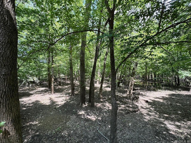 675 Nimmo, Searcy, AR 72143 - view of woods
